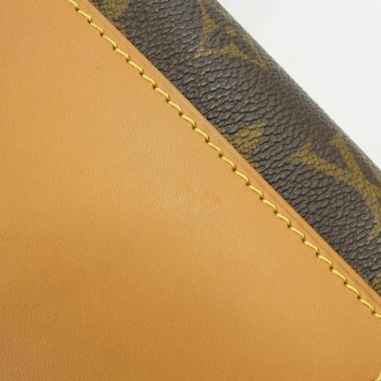 LOUIS VUITTON M44877 肩背包 Monogram 5