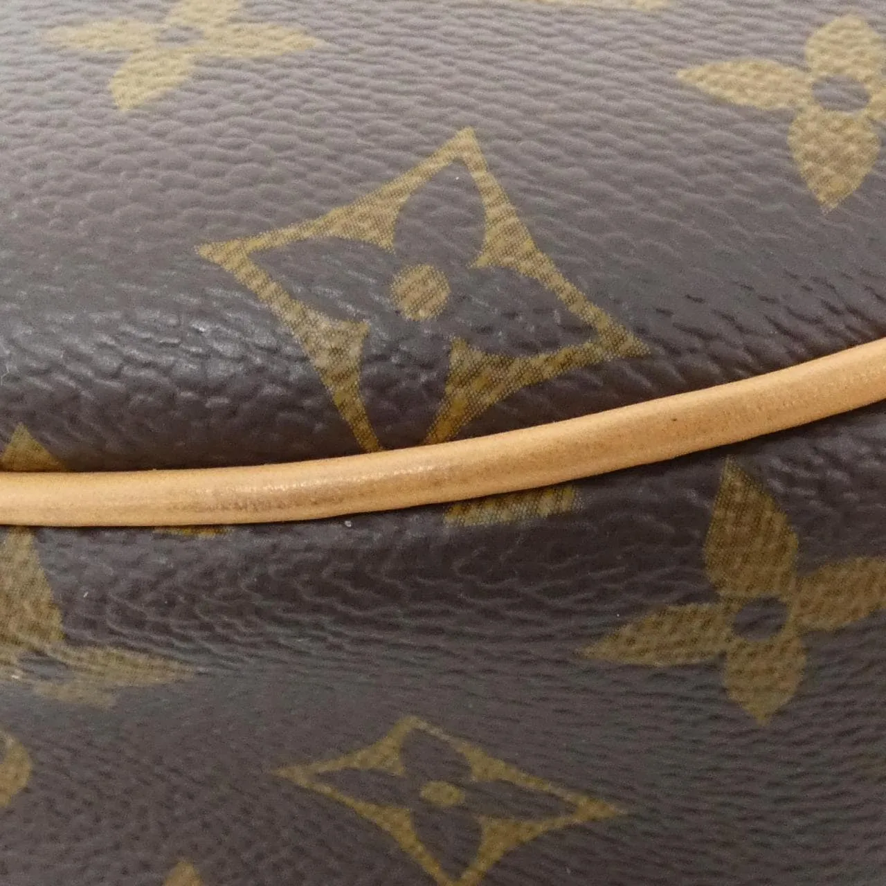 LOUIS VUITTON M81098 肩背包 Monogram 3