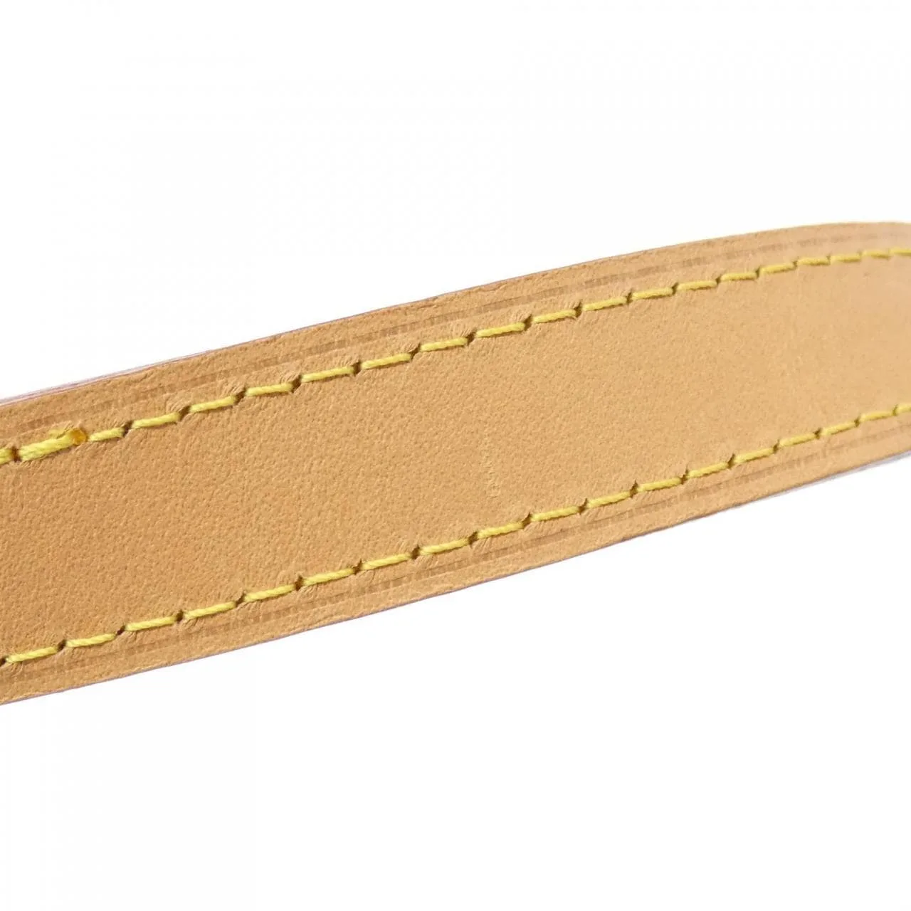 LOUIS VUITTON M81098 肩背包 Monogram 5