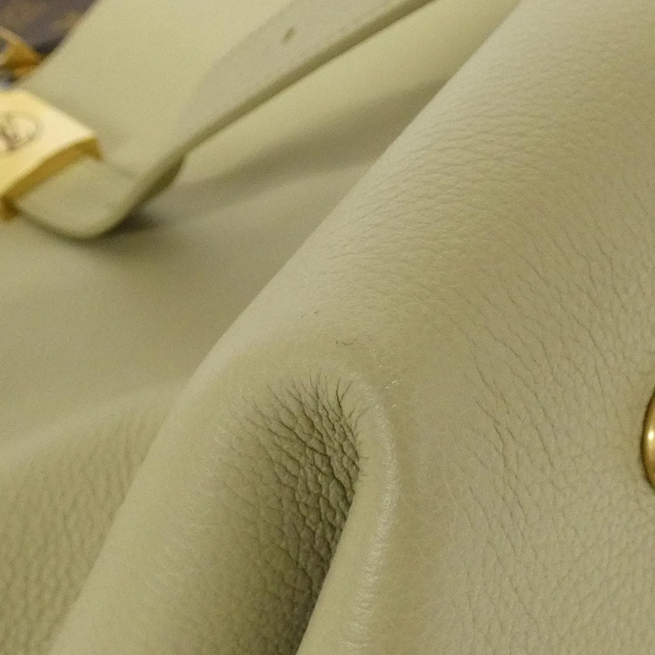 LOUIS VUITTON M25343 手提包 3