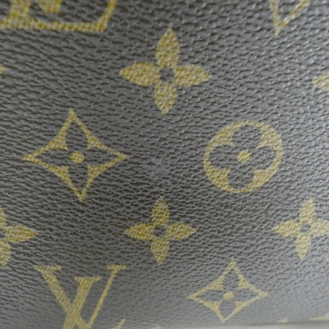 LOUIS VUITTON Viva Cité M51165 Shoulder Monogram 4