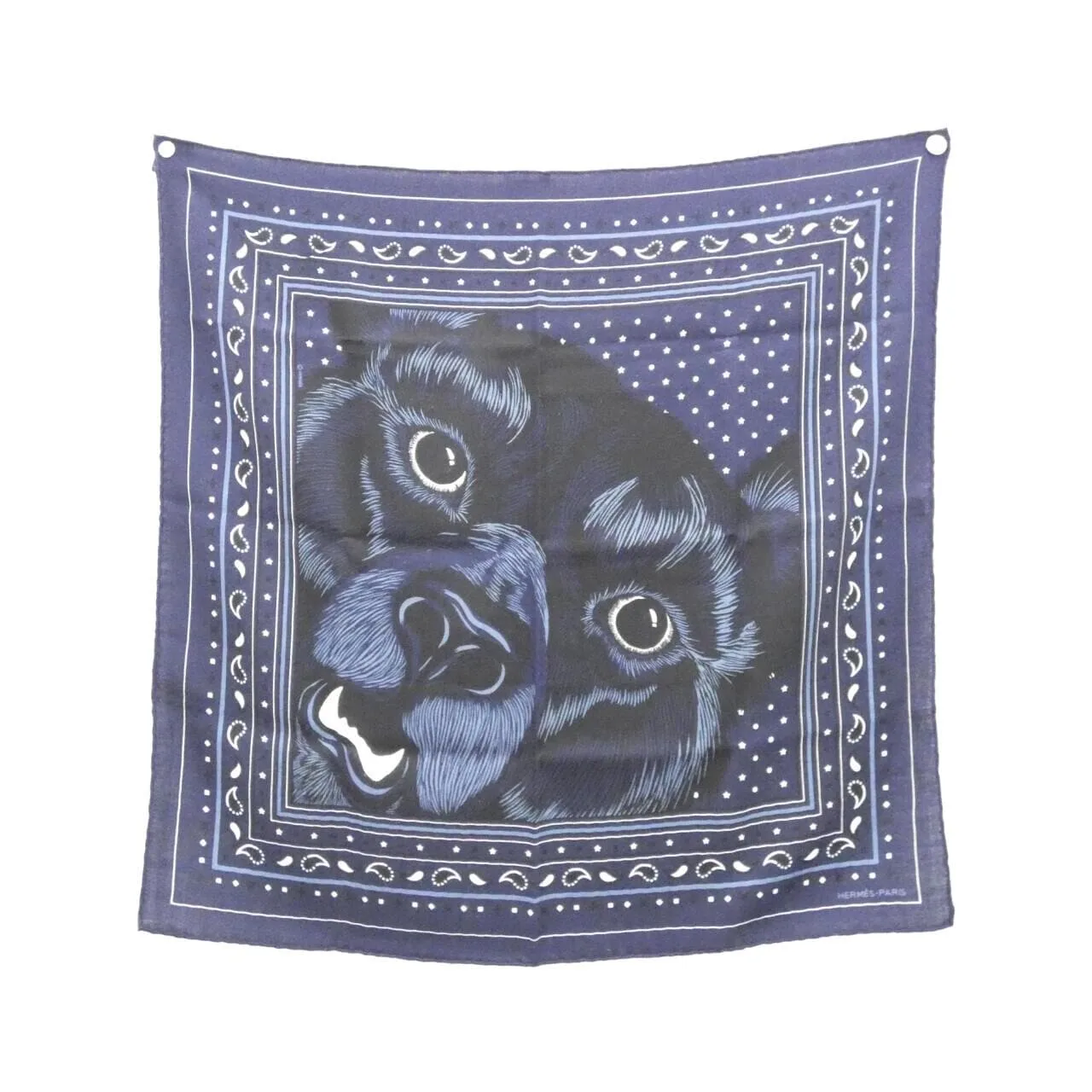 HERMES Scarf