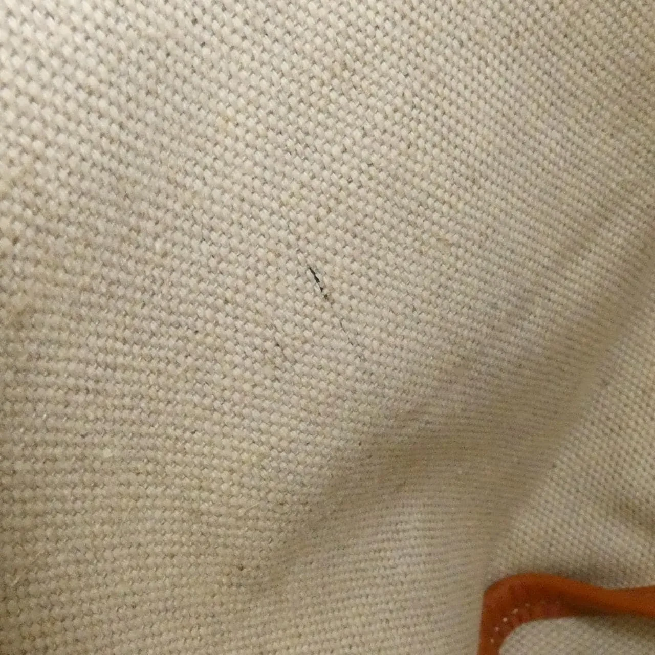 GOYARD Saint Louis AMA LOUIS PM Tote Canvas 黑色 帆布 中古品A - 縮圖 7