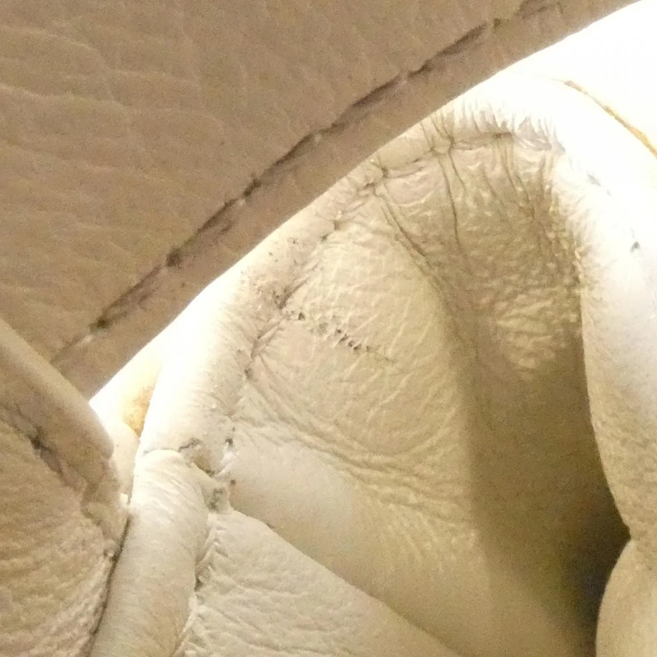 FENDI Peekaboo 8BN309 A5P4 手提包 羊皮