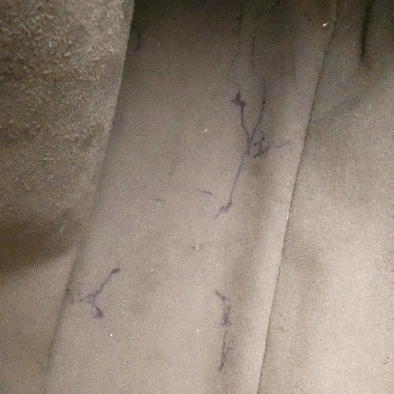 GUCCI 429020 KLQAX Backpack Canvas Black Canvas Rank A - Thumbnail 10