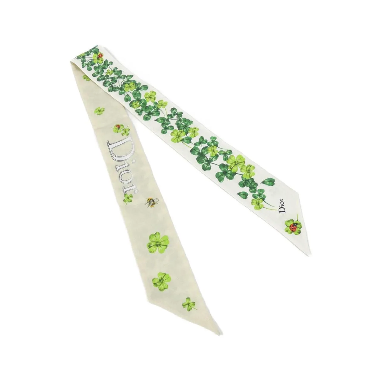 DIOR 62ZM106I6012 Scarf
