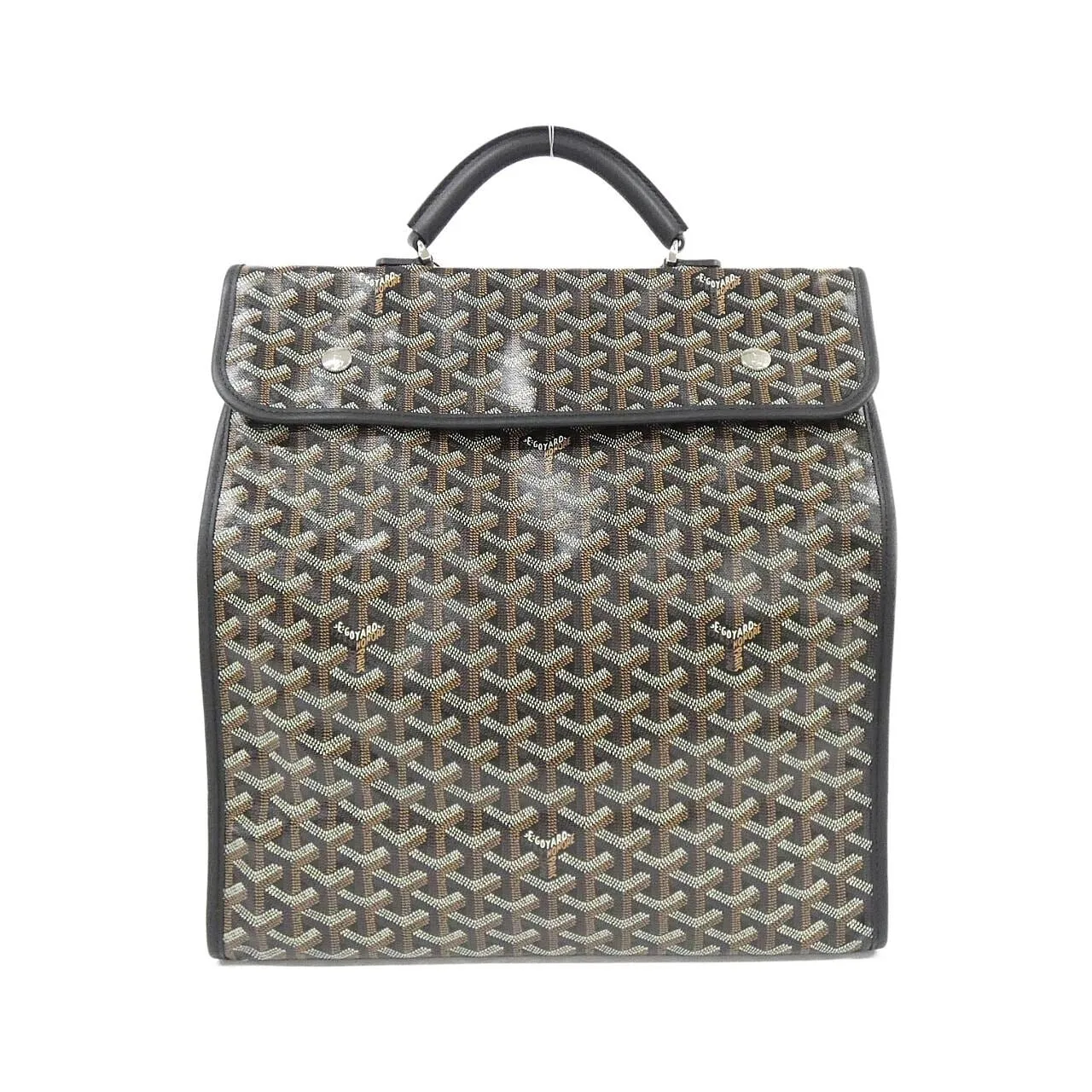 GOYARD Backpack Canvas