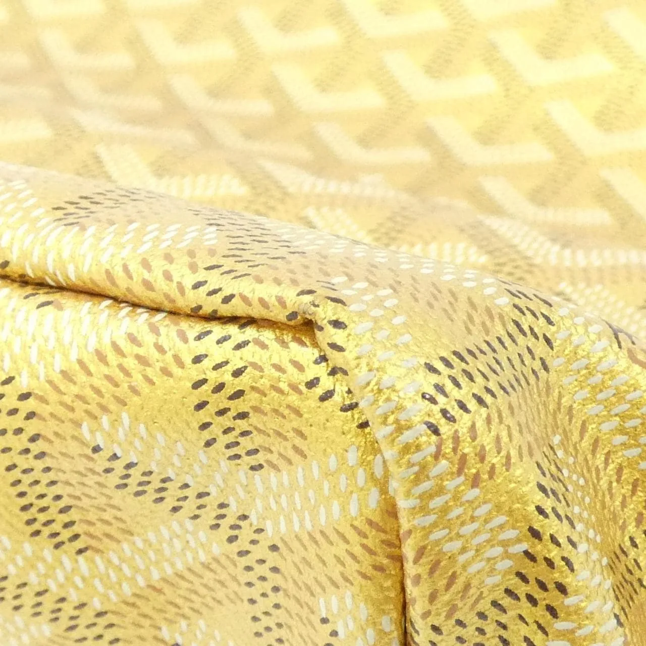 GOYARD Saint Louis 托特包 帆布 3