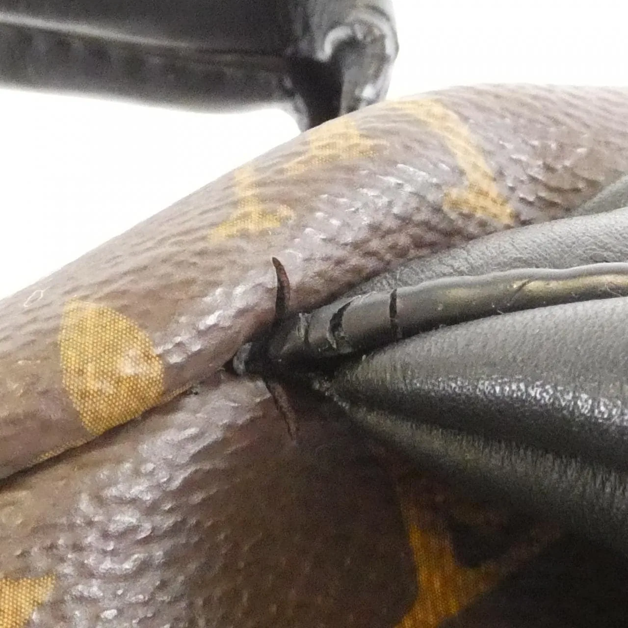 LOUIS VUITTON Palm Springs M41561 Backpack Monogram Black Monogram Rank B - Thumbnail 4