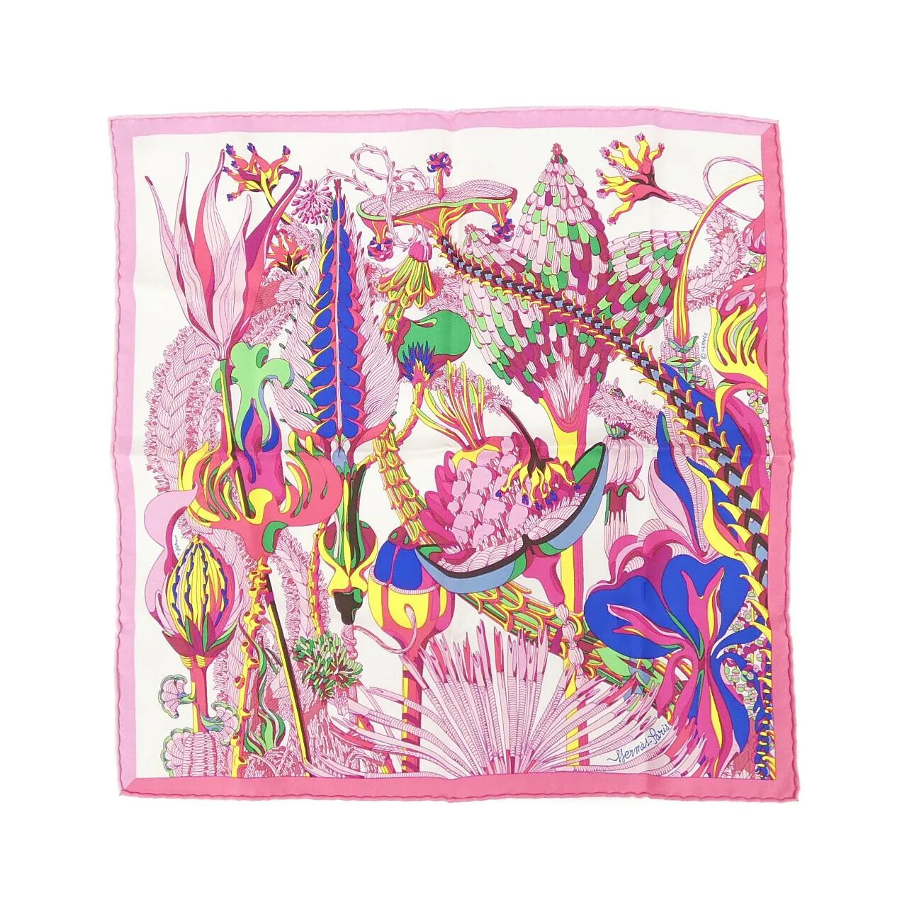 HERMES Scarf