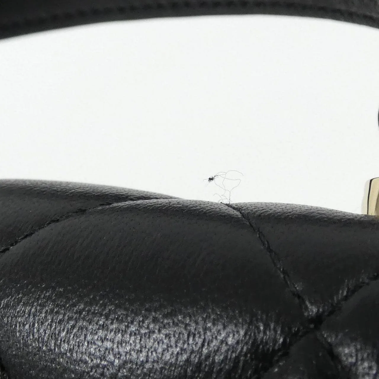 CHANEL Chanel 19 AP3226 Wallet Lambskin Black Lambskin Rank A - Thumbnail 3