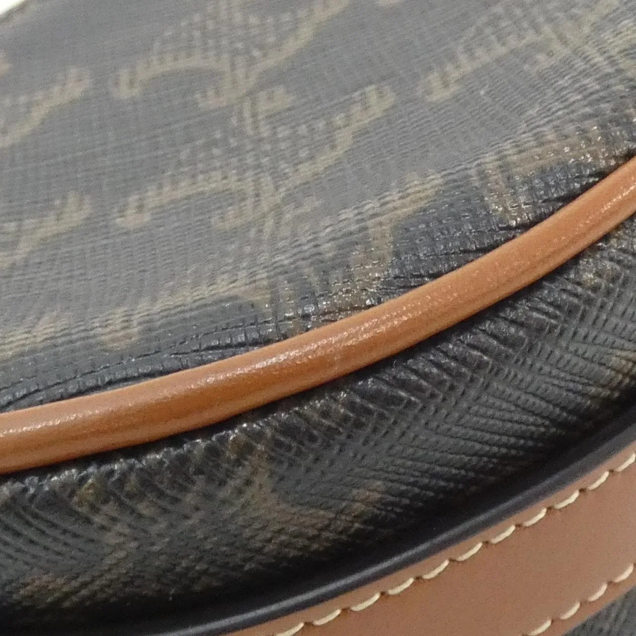 CELINE 10I602DS1 Handbag Canvas 2