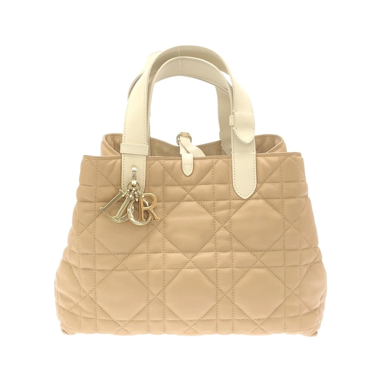 DIOR Toujours M2821OSIY Handbag