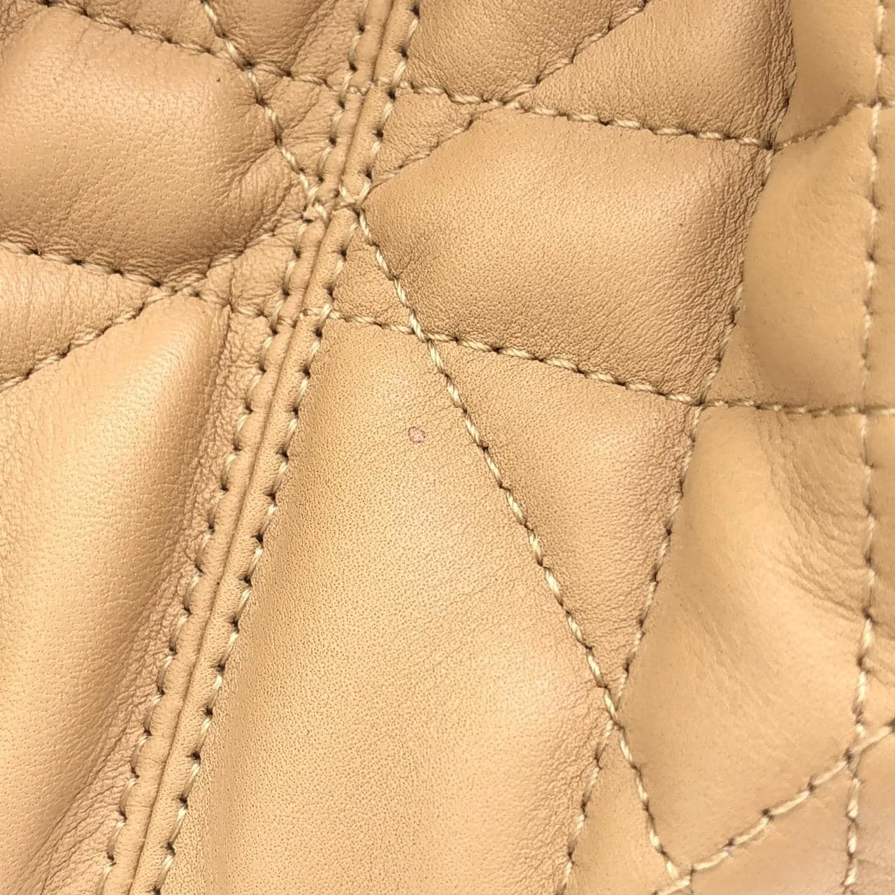 DIOR Toujours M2821OSIY Handbag 4