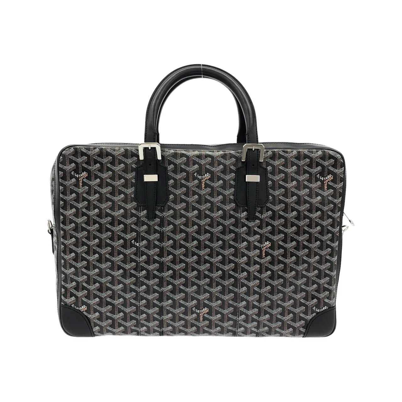 GOYARD AMA AMBASS MM Handbag Canvas 2
