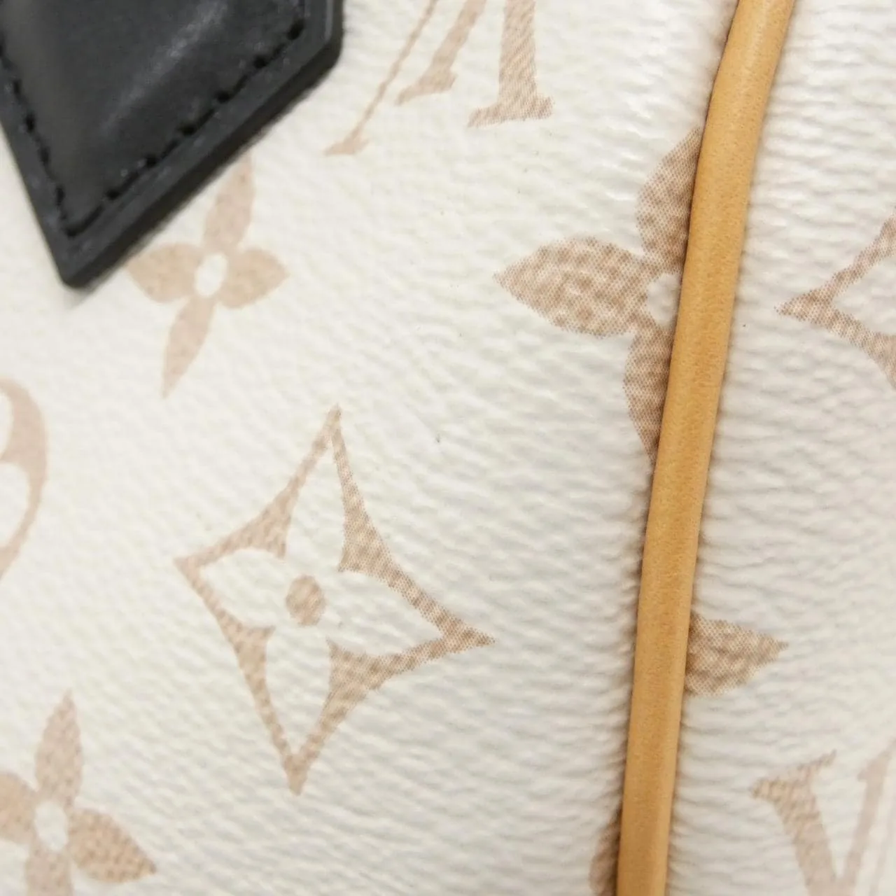 LOUIS VUITTON Speedy M46906 肩背包 Monogram 黑色 Monogram 中古品A - 縮圖 5