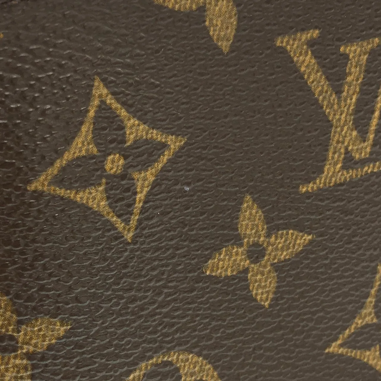 LOUIS VUITTON Viva Cité M51165 Shoulder Monogram 4