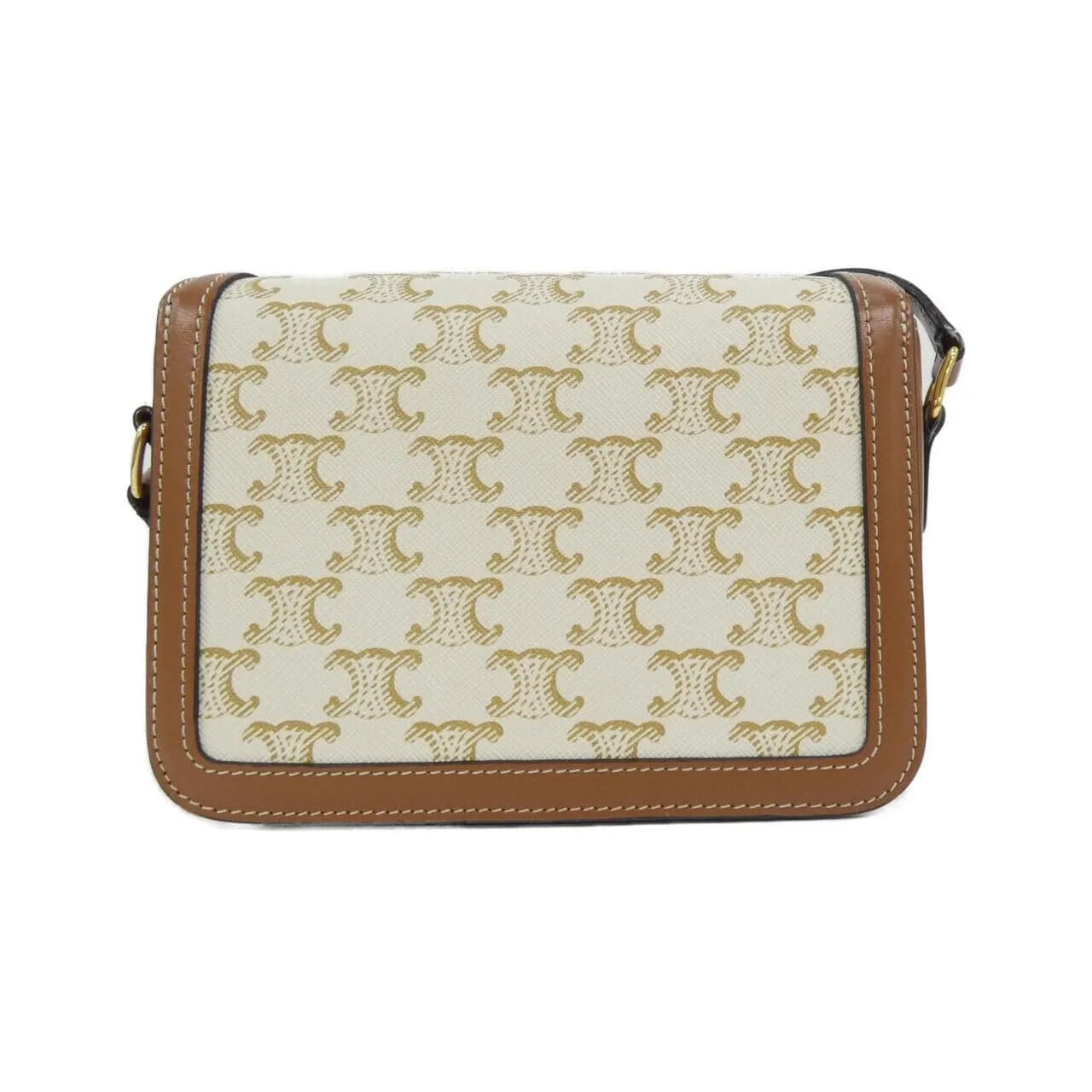 CELINE Triomphe 188882BZ4 Shoulder Canvas 2