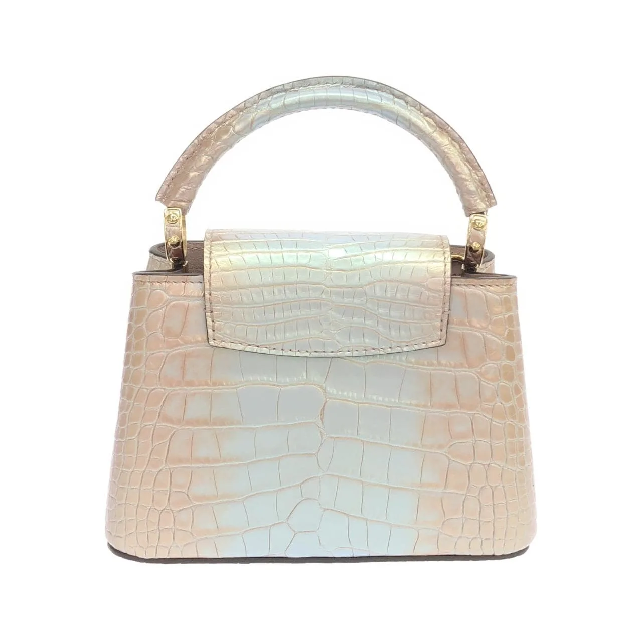 LOUIS VUITTON Capucines N82334 手提包 皮革 2