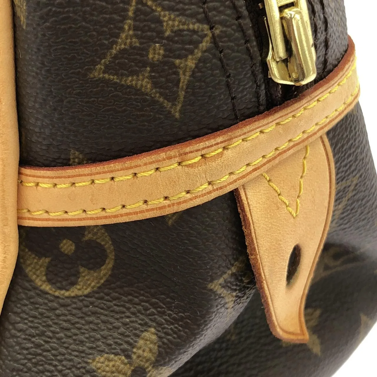 LOUIS VUITTON M95565 肩背包 Monogram 5
