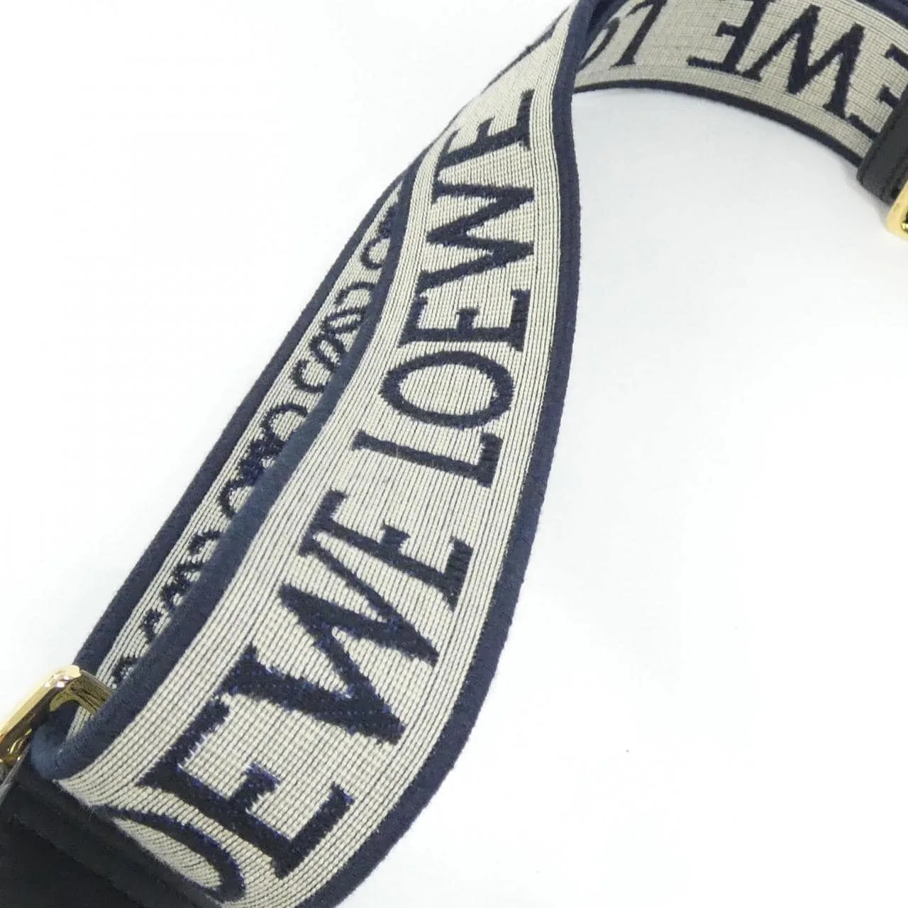LOEWE Gate A650N46X13 肩背包 4