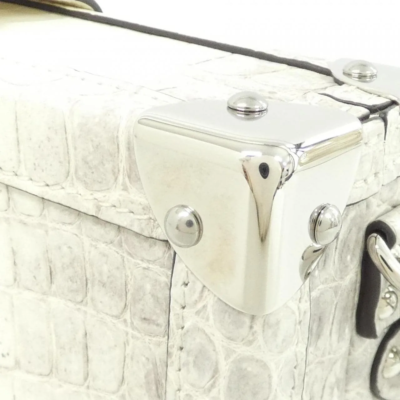 LOUIS VUITTON N80862 肩背包 皮革 5