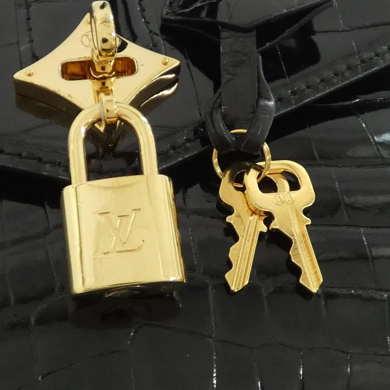 LOUIS VUITTON N98926 手提包 皮革 4