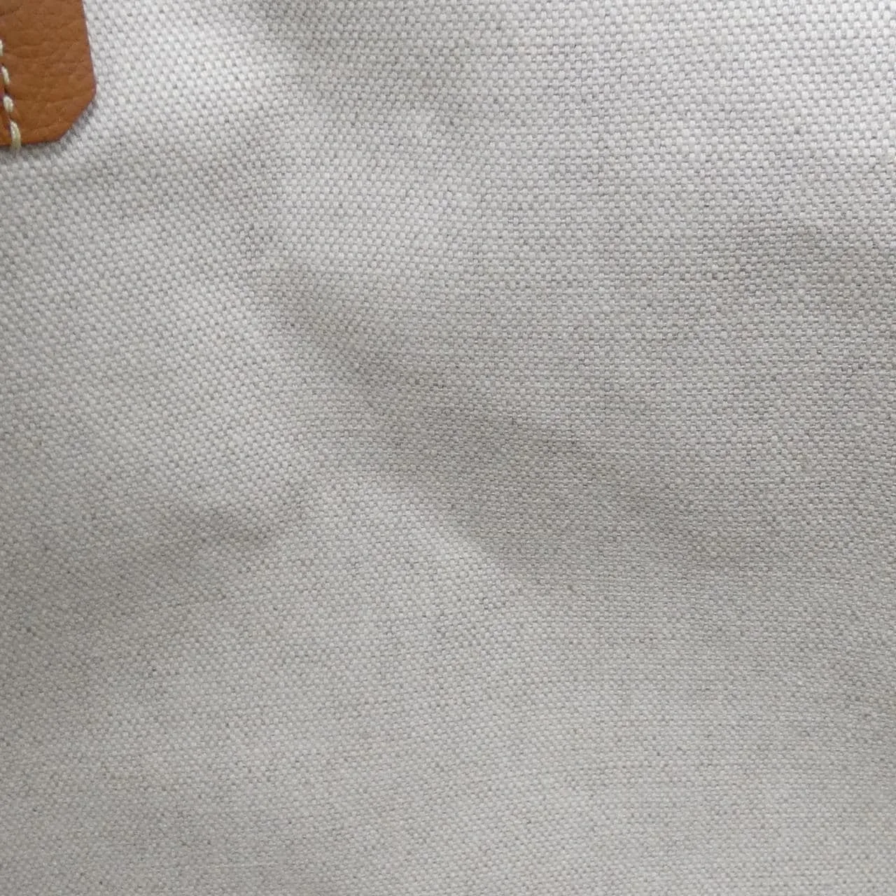 GOYARD Saint Louis AMA LOUIS PM Tote Canvas 5
