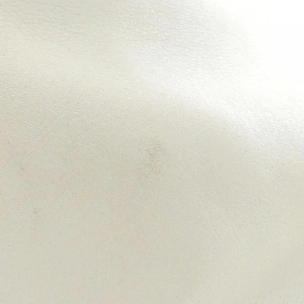 CHANEL 手提包 羊皮 4