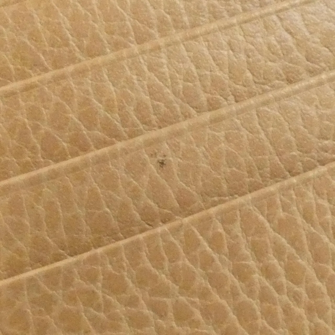 GUCCI 615525 CAO0G 銀包 皮革 7