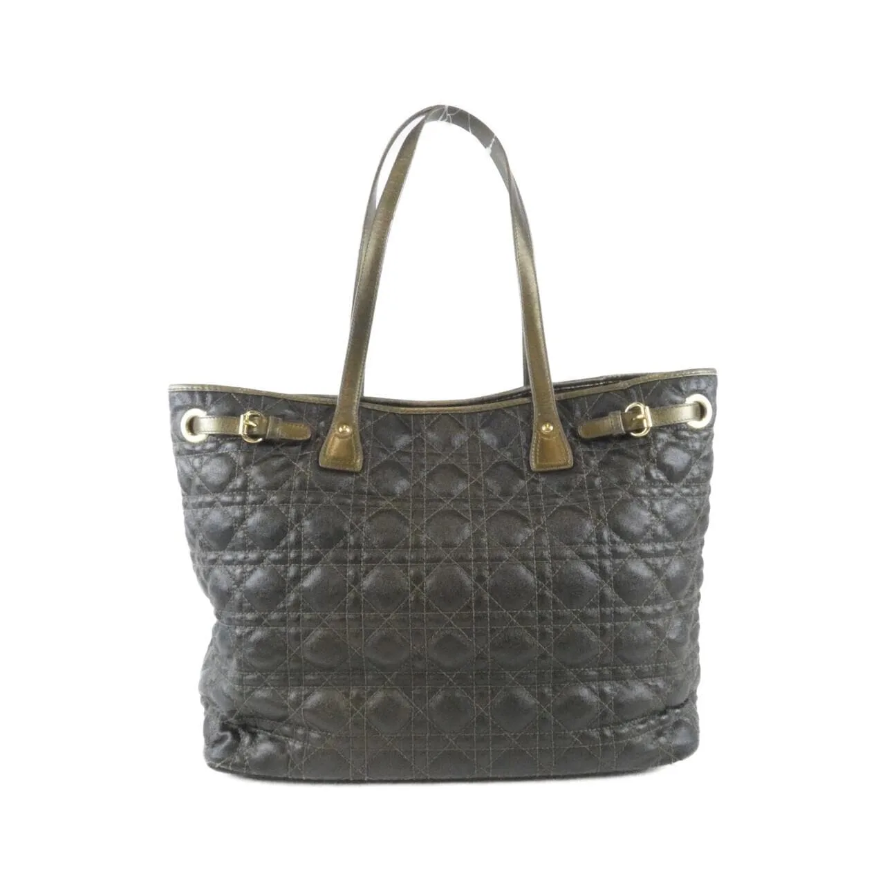 DIOR M1017OPCD 手提包 帆布 2
