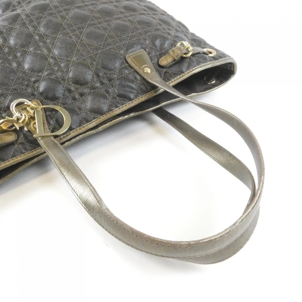 DIOR M1017OPCD 手提包 帆布 5