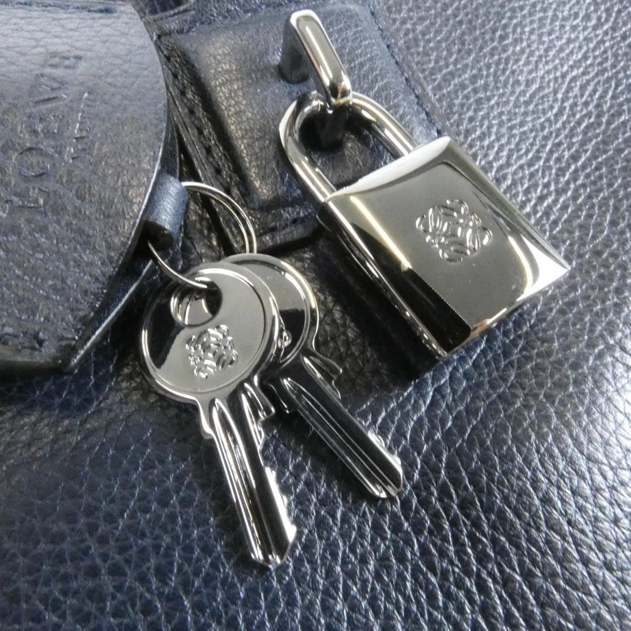 LOEWE Amazona 352 79 A03 手提包 4