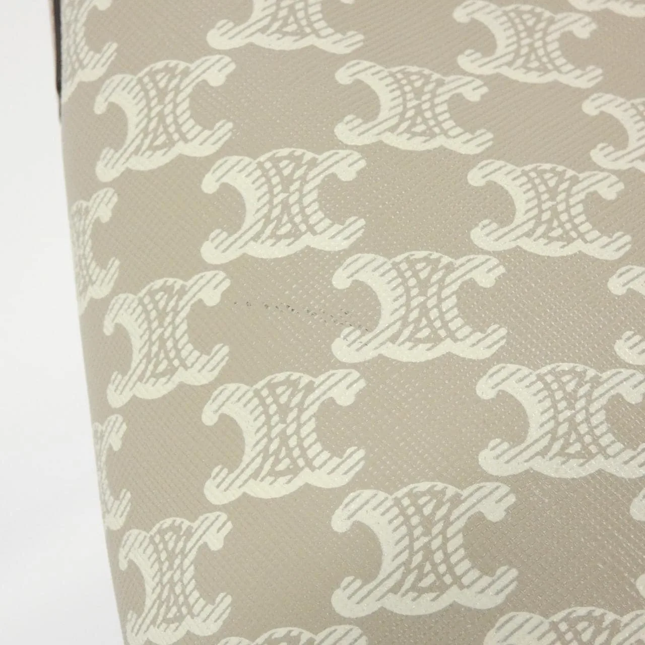 CELINE Triomphe 191442FLC 肩背包 帆布 5