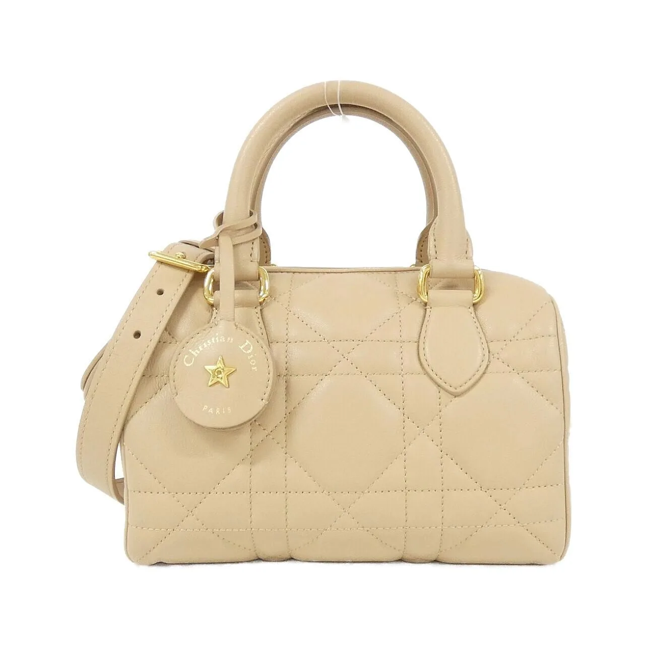 DIOR Book Tote M1364UBOL 波士頓包