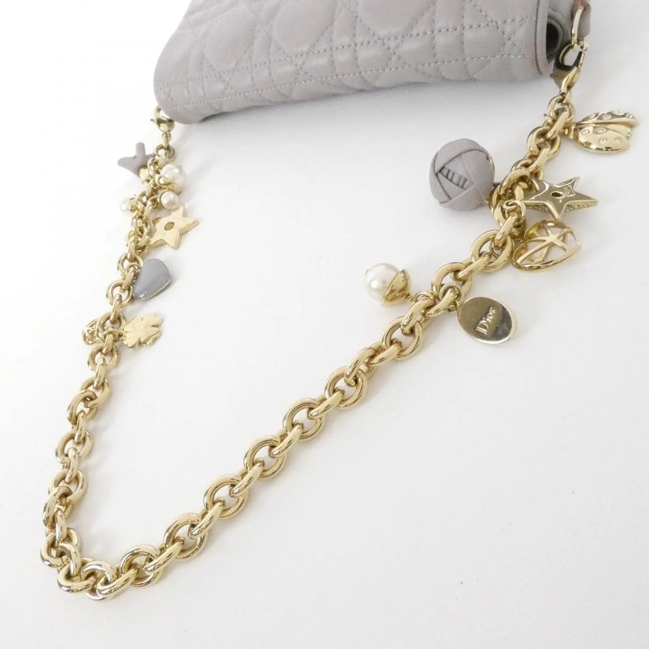 DIOR S0437OLAT 肩背包 羊皮 5
