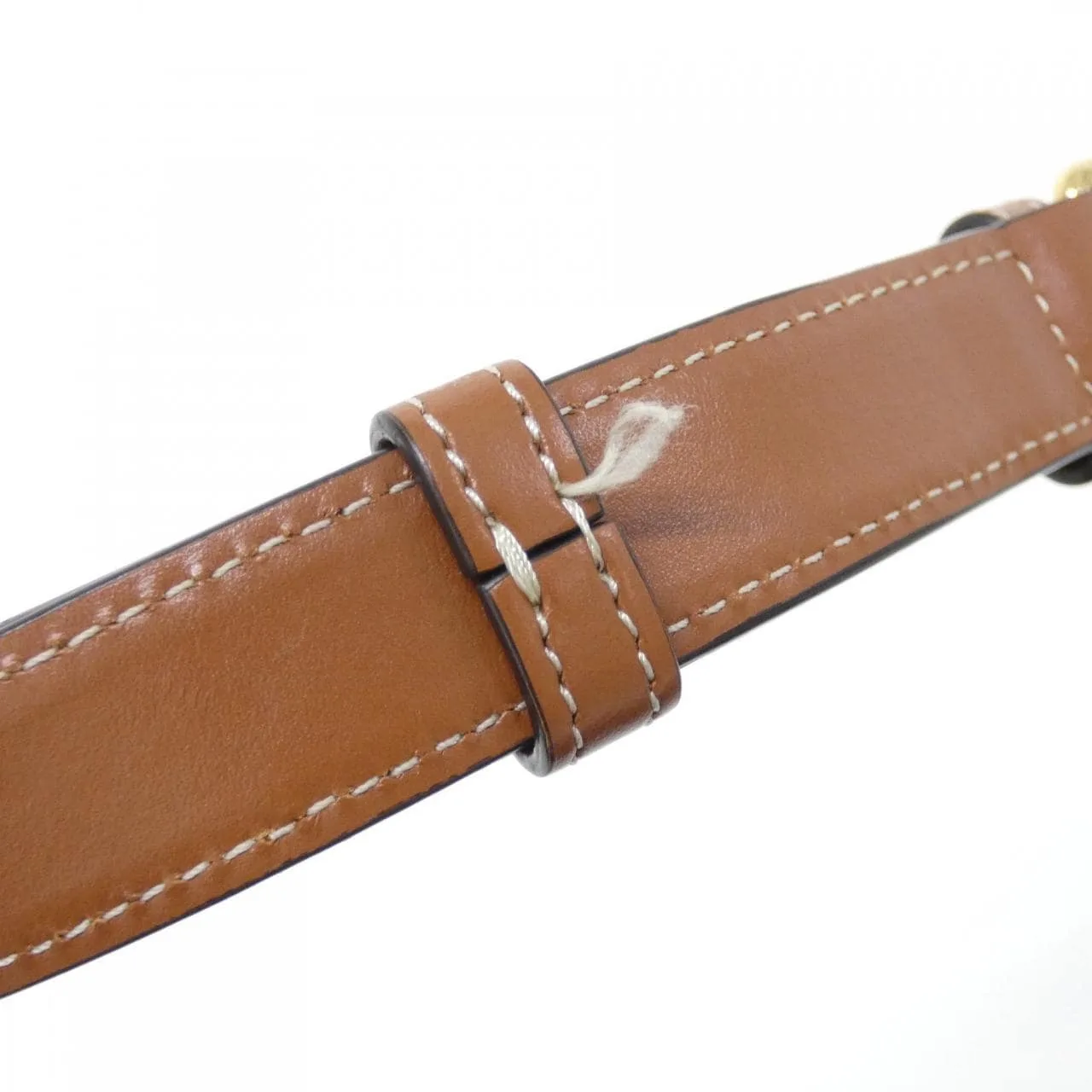 CELINE Triomphe 191242BZ4 肩背包 帆布 5