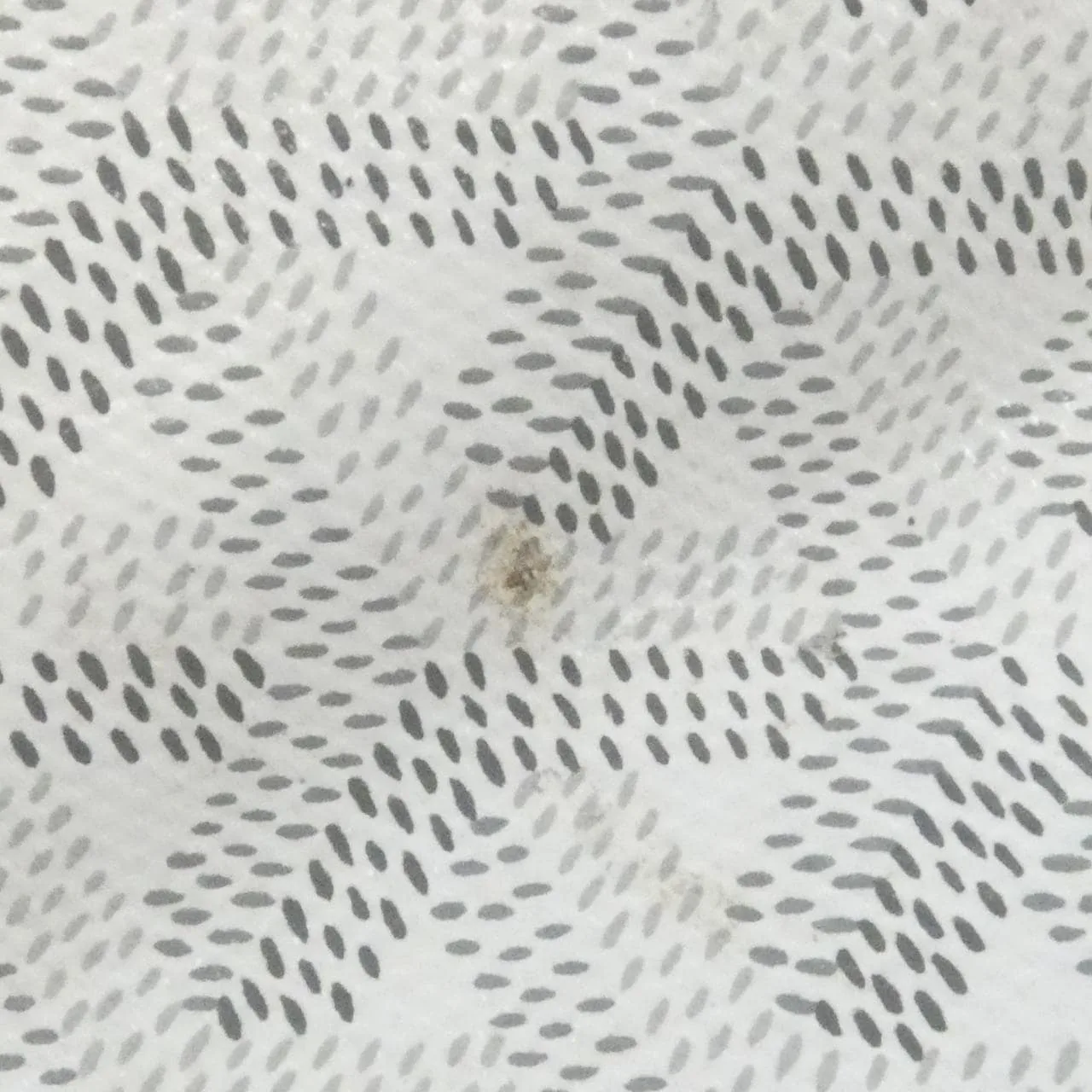 GOYARD Saint Louis AMA LOUIS PM Tote Canvas 3