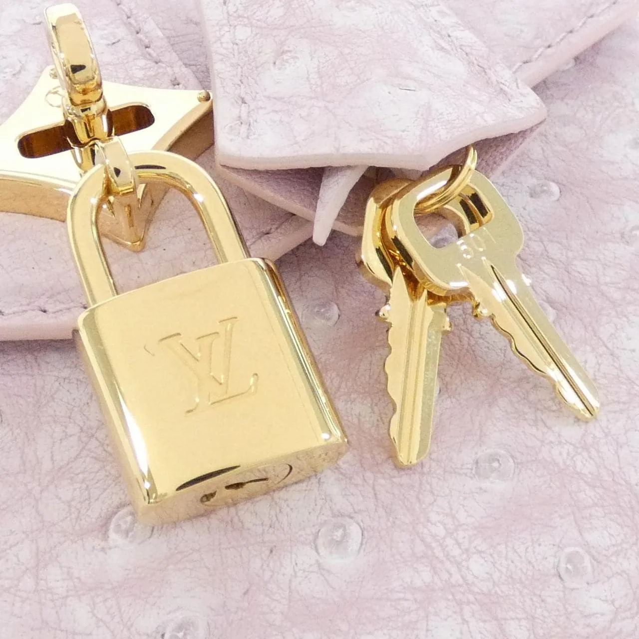 LOUIS VUITTON N89871 手提包 皮革 4