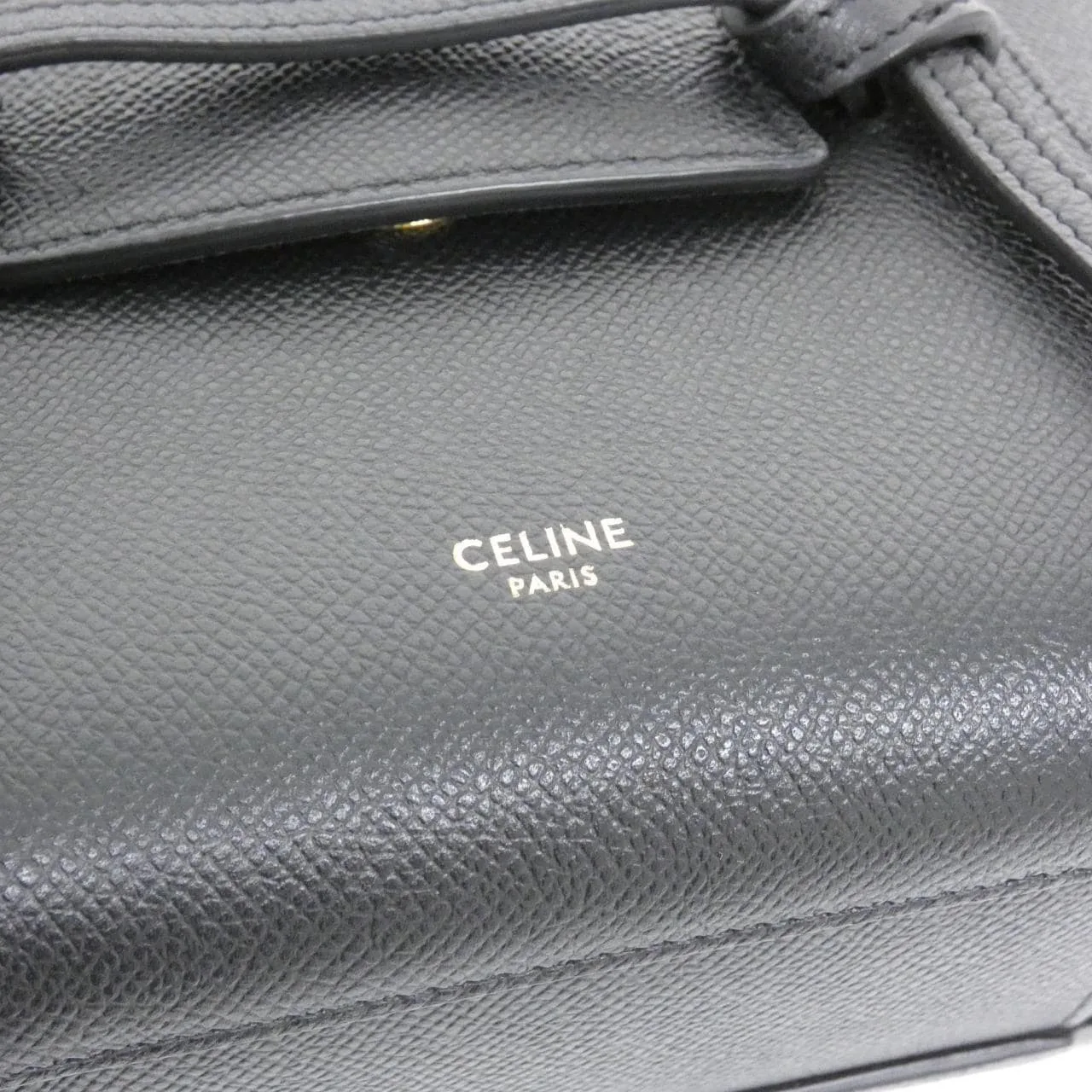 CELINE Triomphe 194263ZVA Handbag 4