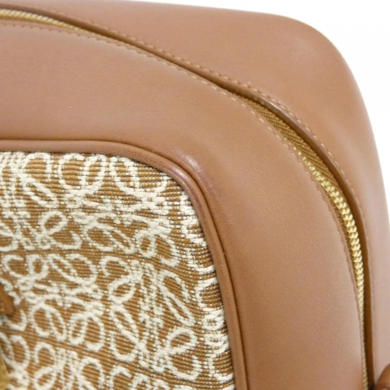 LOEWE Amazona A039N08X02 手提包 帆布 5