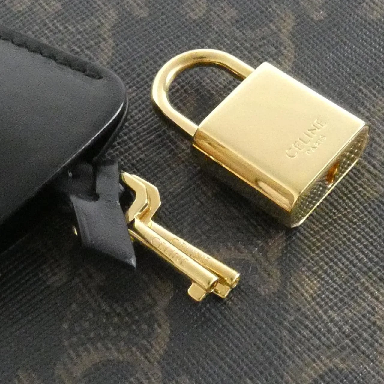 CELINE Cabas 190972BRJ 手提包 帆布 4