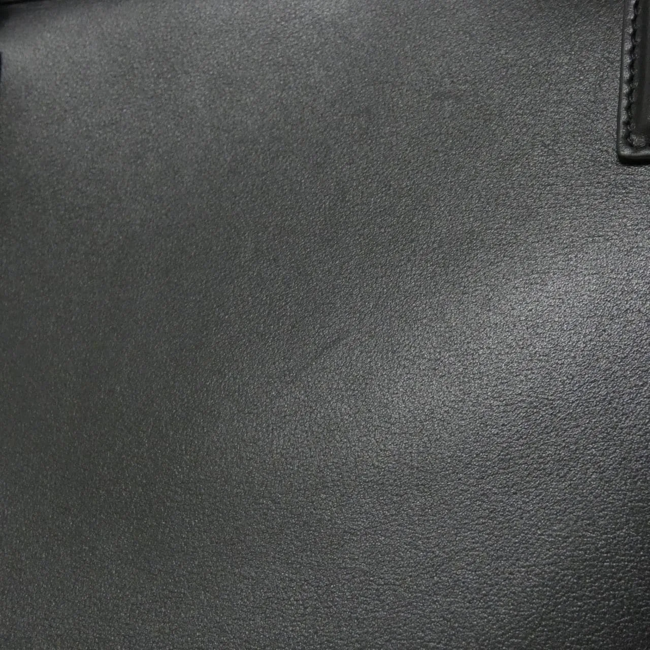 LOEWE Amazona A03918MX01 手提包 8