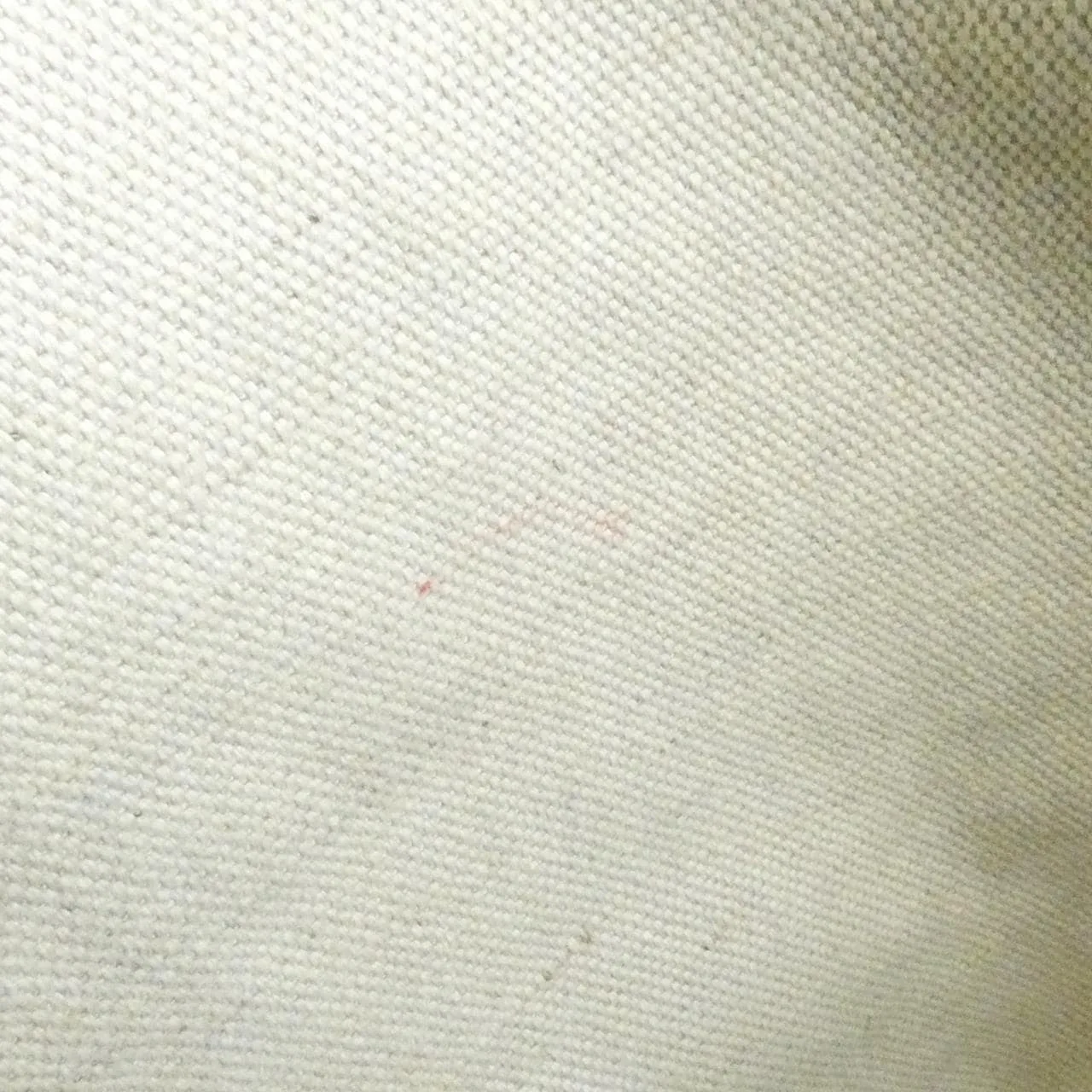 GOYARD Saint Louis AMA LOUIS PM Tote Canvas 7