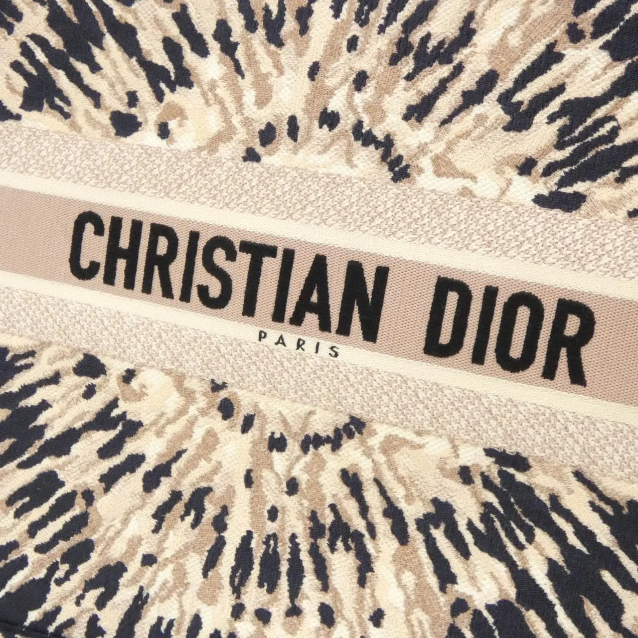DIOR Book Tote M1286ZJAI 托特包 帆布 4