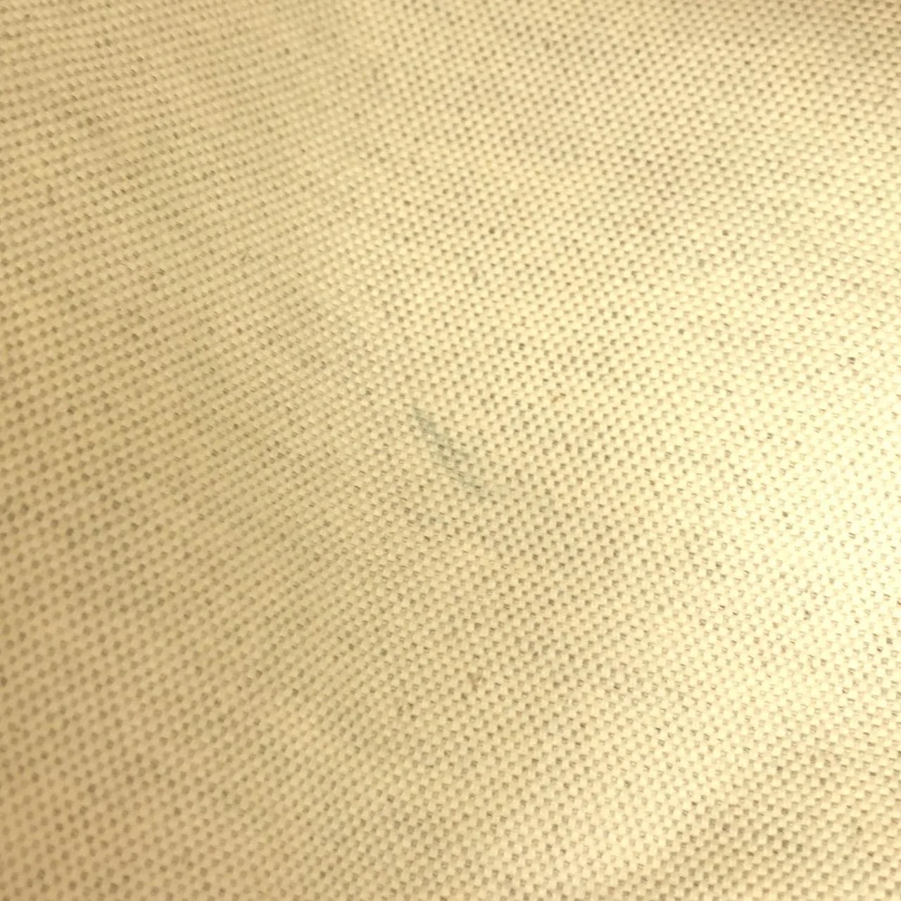 GOYARD Saint Louis AMA LOUIS PM Tote Canvas 白色 帆布 中古品B - 縮圖 8