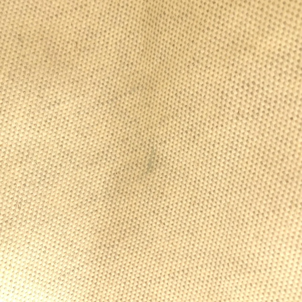 GOYARD Saint Louis AMA LOUIS PM Tote Canvas 白色 帆布 中古品B - 縮圖 9