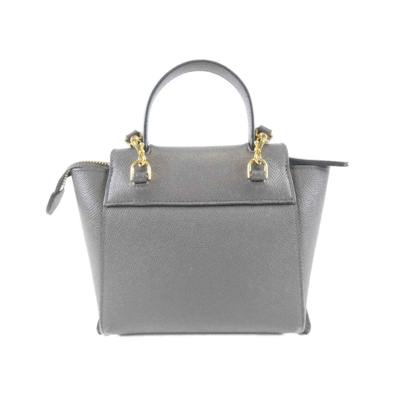 CELINE Triomphe 194263ZVA Handbag 2