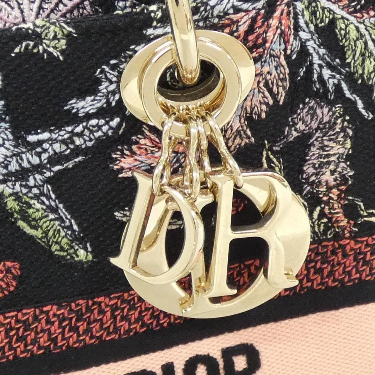 DIOR 手提包 帆布 4