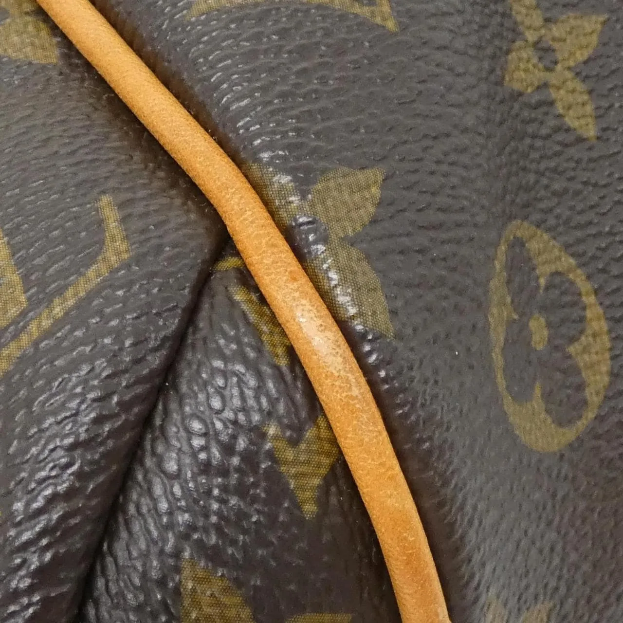 LOUIS VUITTON Totally M56688 Handbag Monogram 2